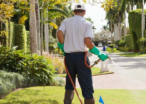 About Berkeley Heights NJ Pest Control Pros